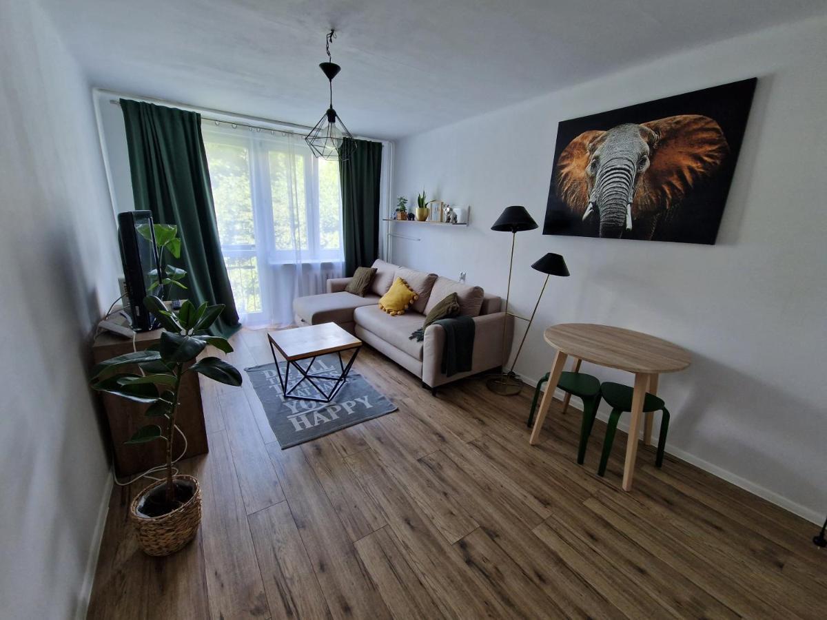 Sienkiewicza Apartament Multi House Rzeszów Kültér fotó